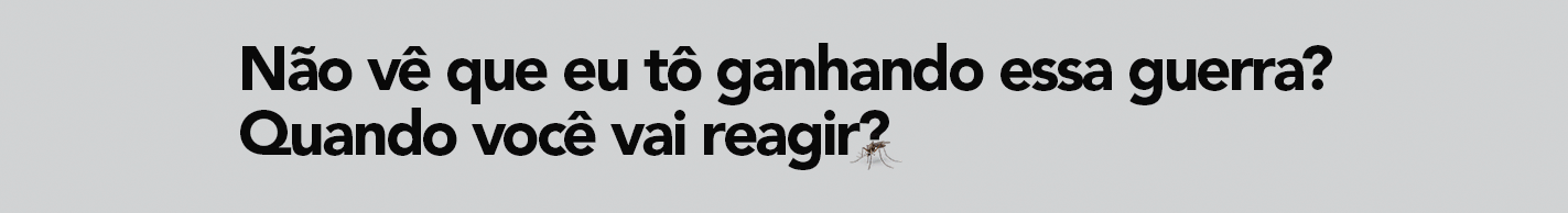 cegov novo engenho bob